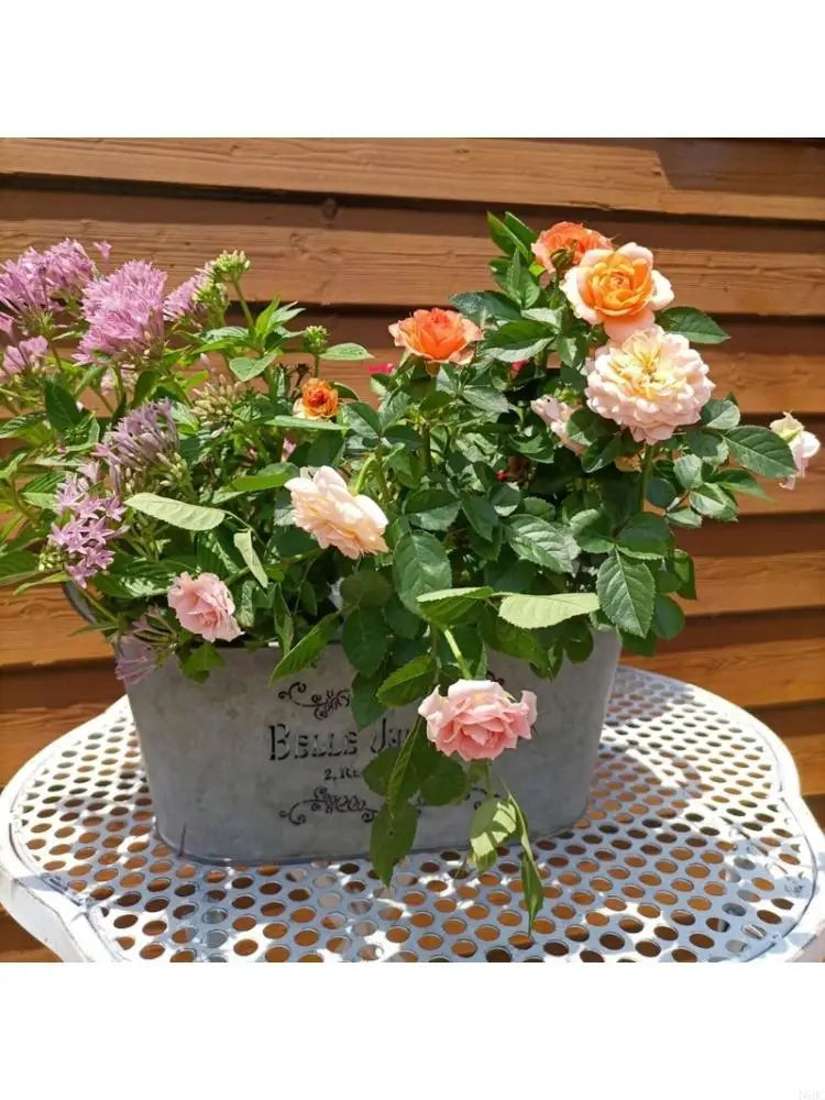 Desk Decoration Dlower Vase Vintage Home Decoration Vintage Plant Pots House Zpaxo
