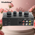 Dual Mic Inputs Audio Sound Mixer Portable Amplifier Microphone Zpaxo with EU plug