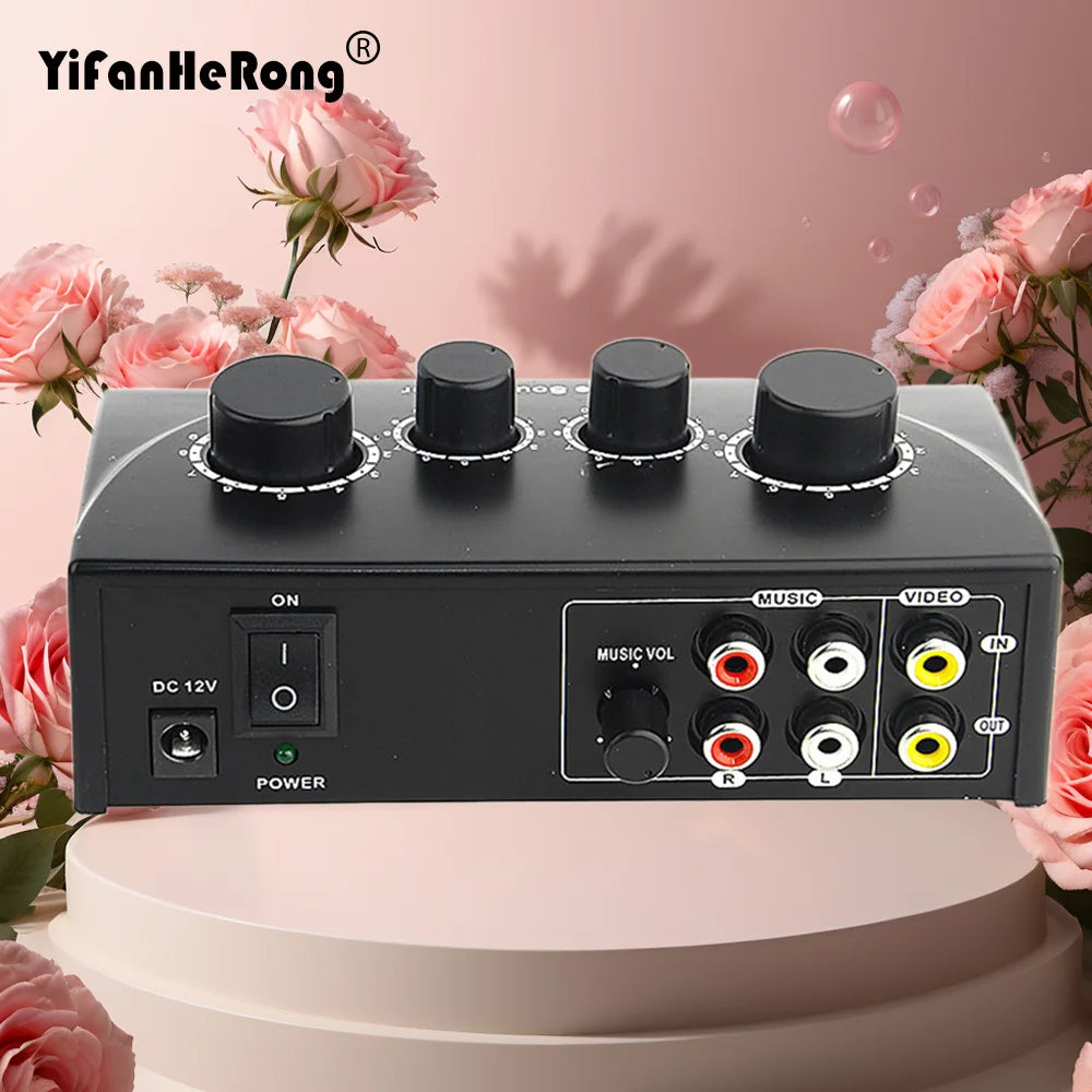 Dual Mic Inputs Audio Sound Mixer Portable Amplifier Microphone Zpaxo with EU plug