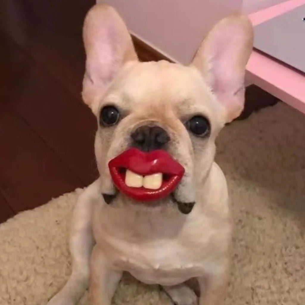 Silicone for Dogs Funny Dog Red Lips Silicone Chew Toy Soft Health Care Teething Pet Teether for Small Zpaxo