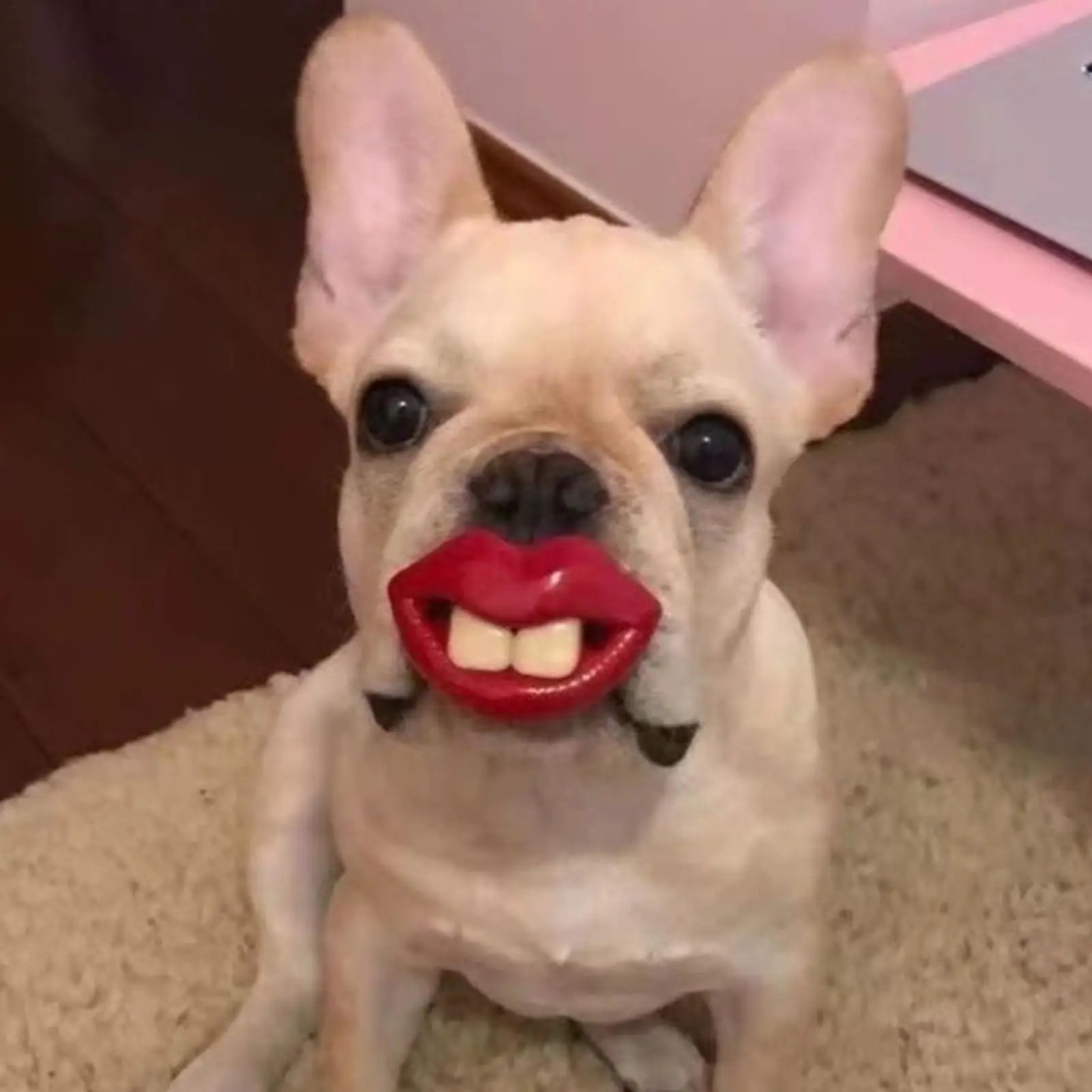 Silicone for Dogs Funny Dog Red Lips Silicone Chew Toy Soft Health Care Teething Pet Teether for Small Zpaxo