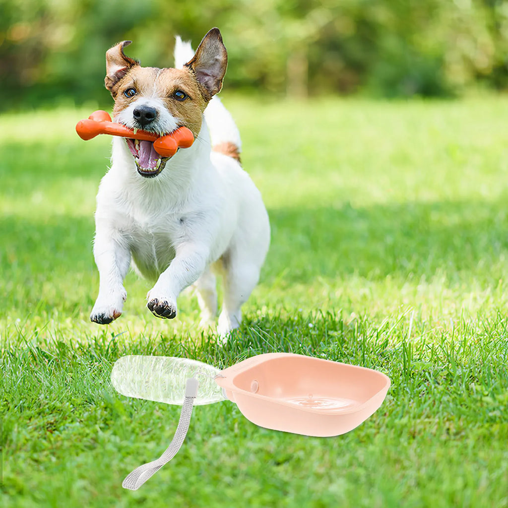 Pet Water Bowl Adapter Portable Dog Bottle Outdoor Travel
