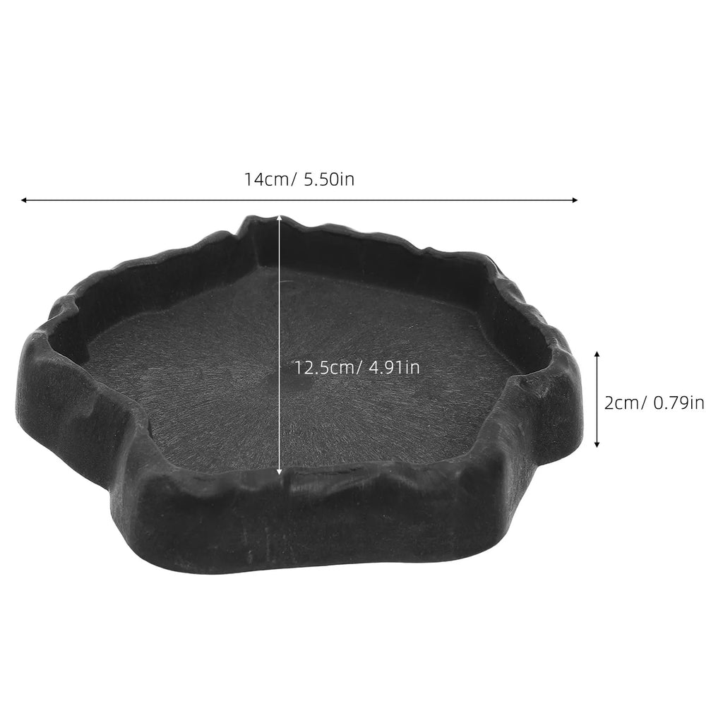 Reptile Feeder Bowl Natural Shallow Stable Base Bearded Dragon Turtle