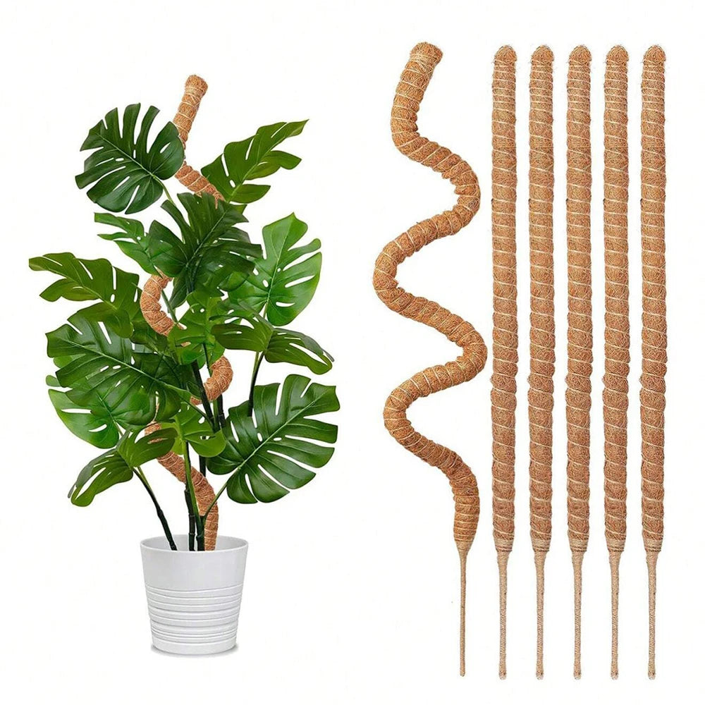 Moss Pole for Plants Monstera Plant Support Stakes for Climbing Indoor Plants Garden Trellis Plant Stick for Potted Plants Zpaxo