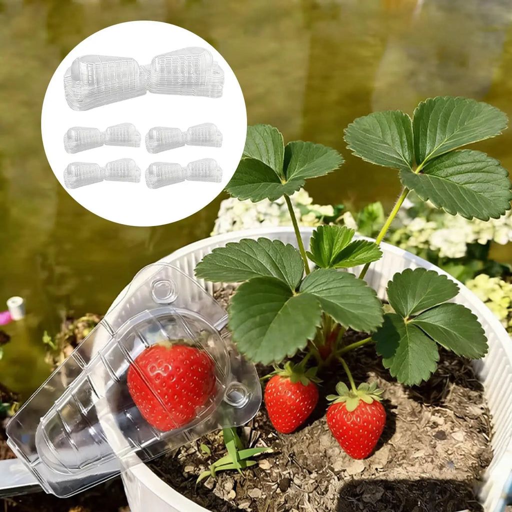 Strawberry Protectors 50-Pieces Clear Reusable Ventilation Cover