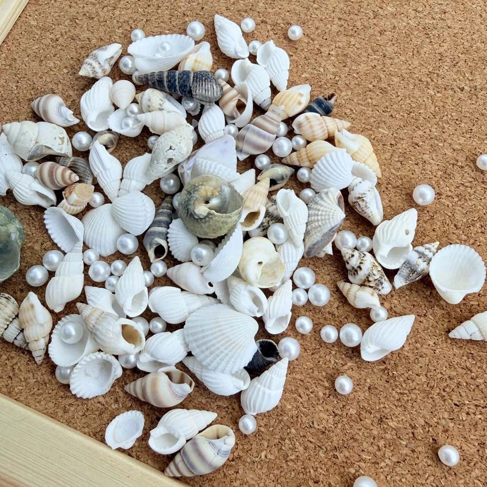 Natural Mixed Seashells & Ocean Pearls – Beach Decor & Crafts Decorative Seashells Zpaxo