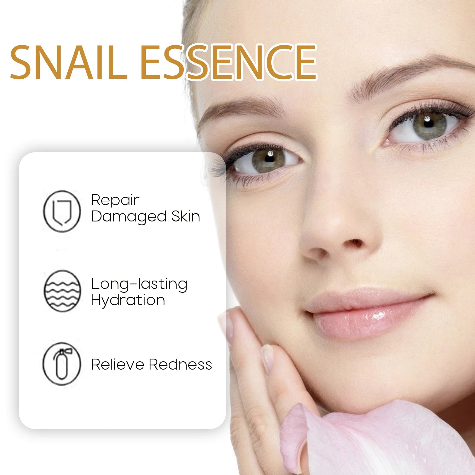 Snail Essence Fade Fine Lines Repair Skin Barrier Moisturizing Refines Pores Nourishes Rejuvenates Anti Wrinkle Facial Essence Zpaxo