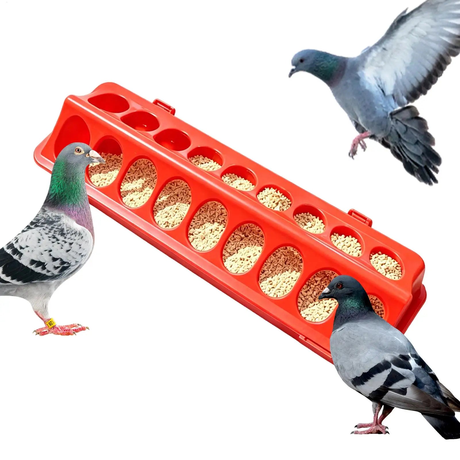 Multi-Hole Chick Brooder Feeding Trough, Anti-Waste Poultry Feeder for Chickens, Quails & Leghorns, Durable Farming Accessory Zpaxo