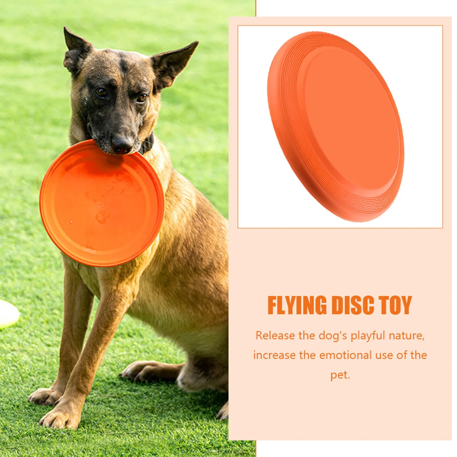 Wear-resistant Puppy Disc Interactive Flying Promotes Interaction