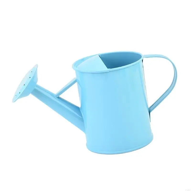 Iron Watering Can Easy Grip Handle Design Precise Indoor Outdoor