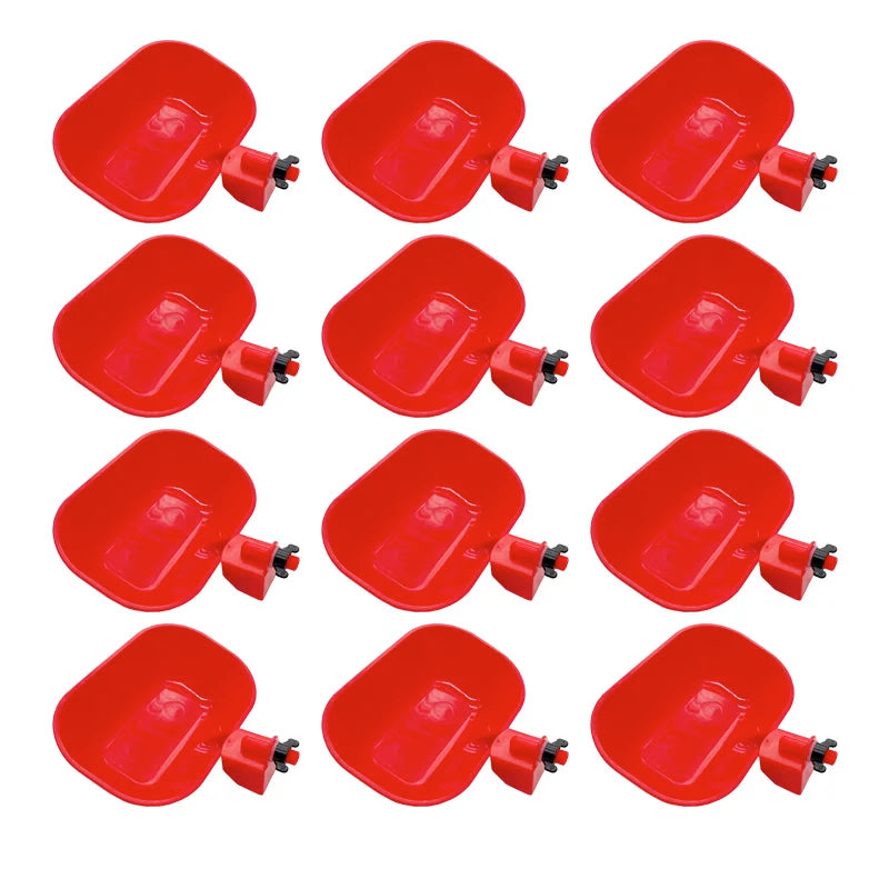 5 Automatic Poultry Drinking Bowls Large Thickening Waterer Bowl Cat