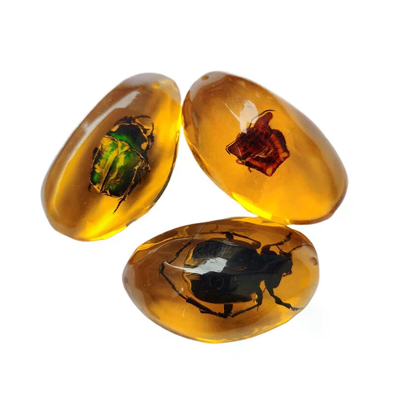 Mineral Stones Home Decor Insects Amber Gemstone DIY Hand Crafts Gift And Insects Amber Gemstone Scorpion Natural 1PC Zpaxo
