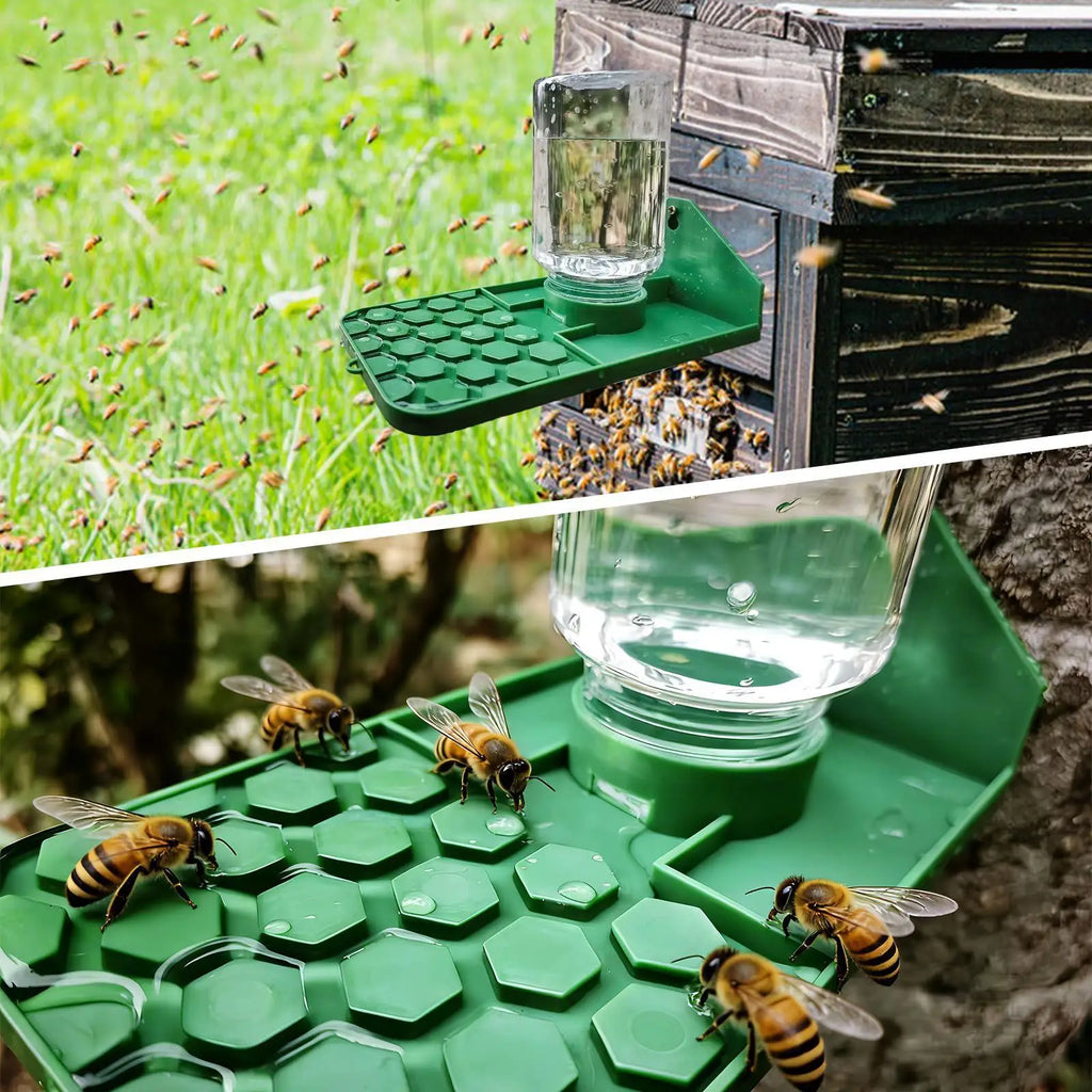 Leakproof Multi-Hole Water Feeder for Bees, Geckos & Spiders Pet Water Feeder Zpaxo