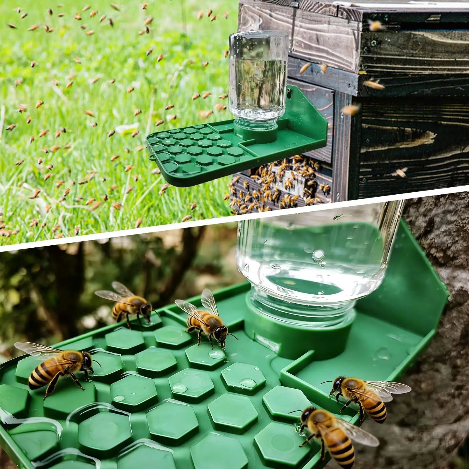Leakproof Multi-Hole Water Feeder for Bees, Geckos & Spiders Pet Water Feeder Zpaxo
