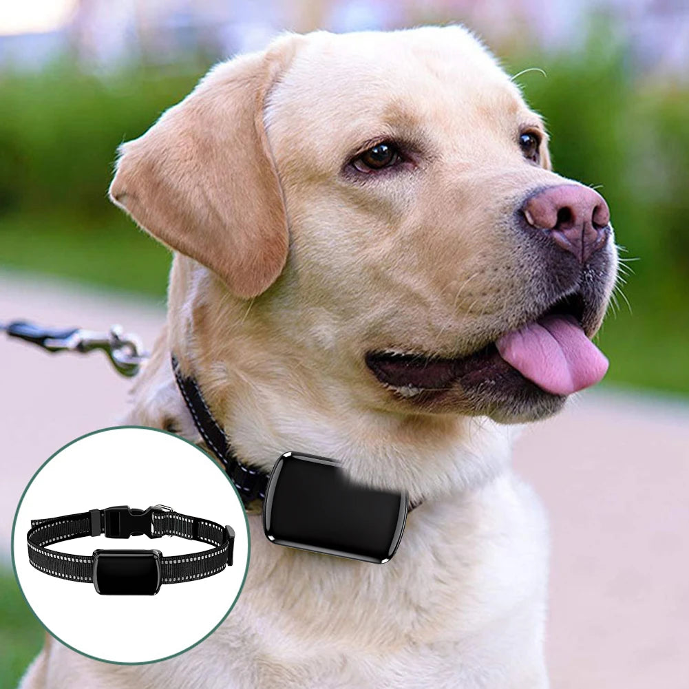 Cat Locator Adjustable Collar Smart Pet Tracker Cats Dogs
