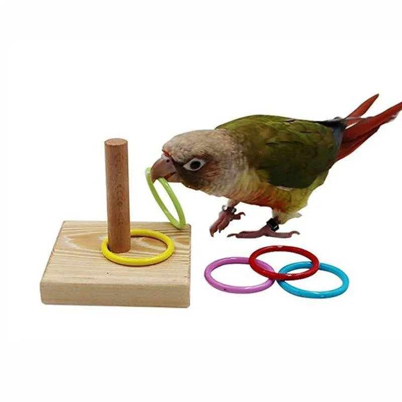 Bird Training Ring Toy Parrot Educational Toys Interactive Supplies