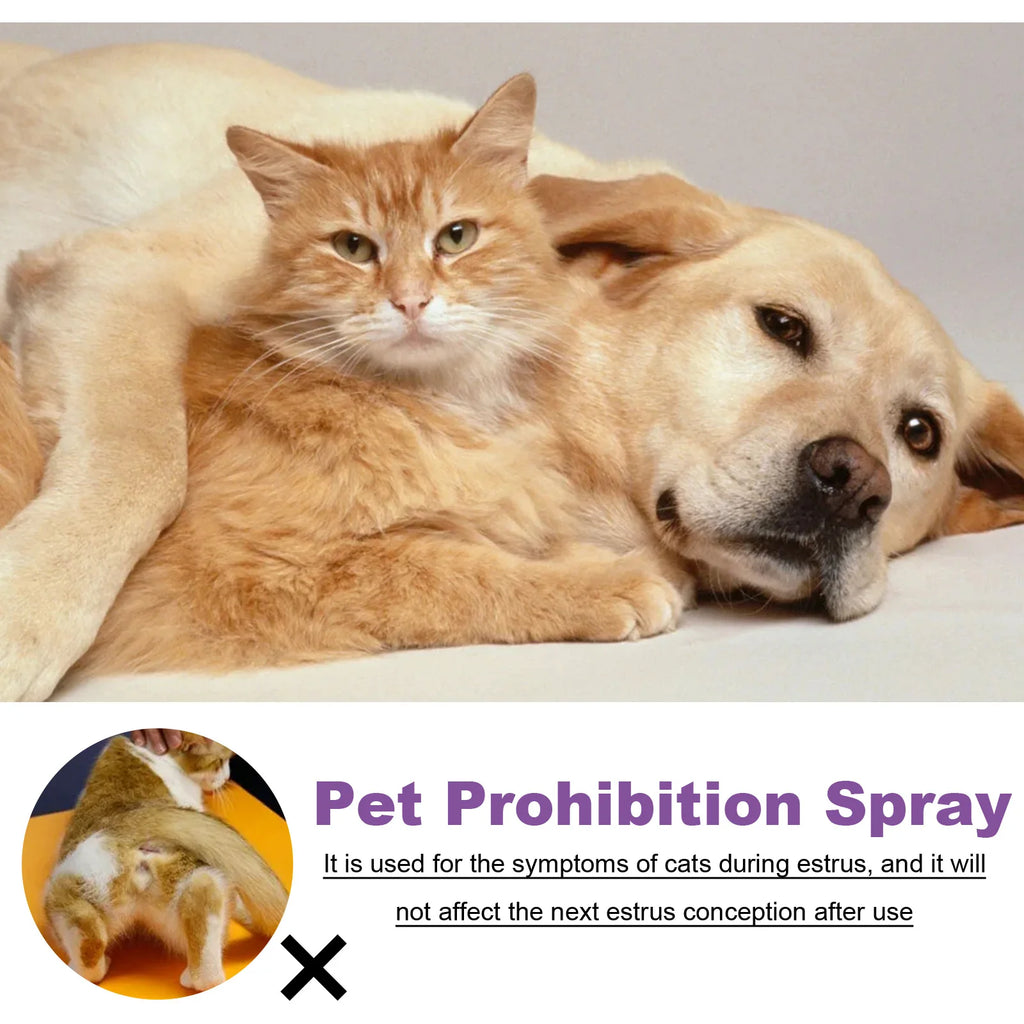 Pet Calming Pheromone Spray – Anxiety & Estrus Relief for Cats & Dogs Pet Calming Spray Zpaxo