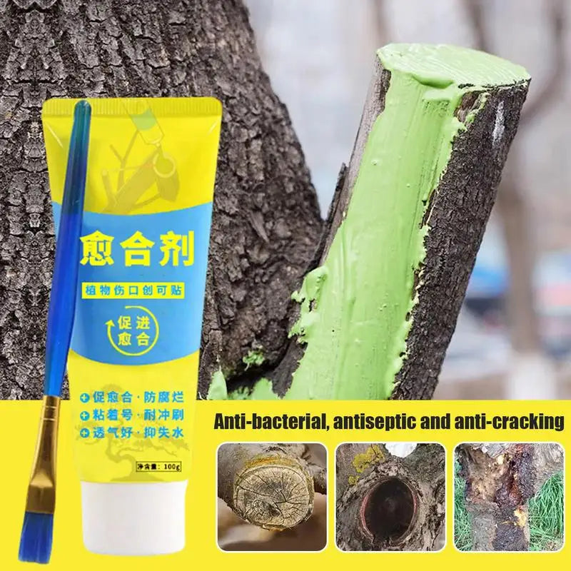 Tree Wound Bonsai Cut Paste Plant Restoring Regrowth Sealant Smear
