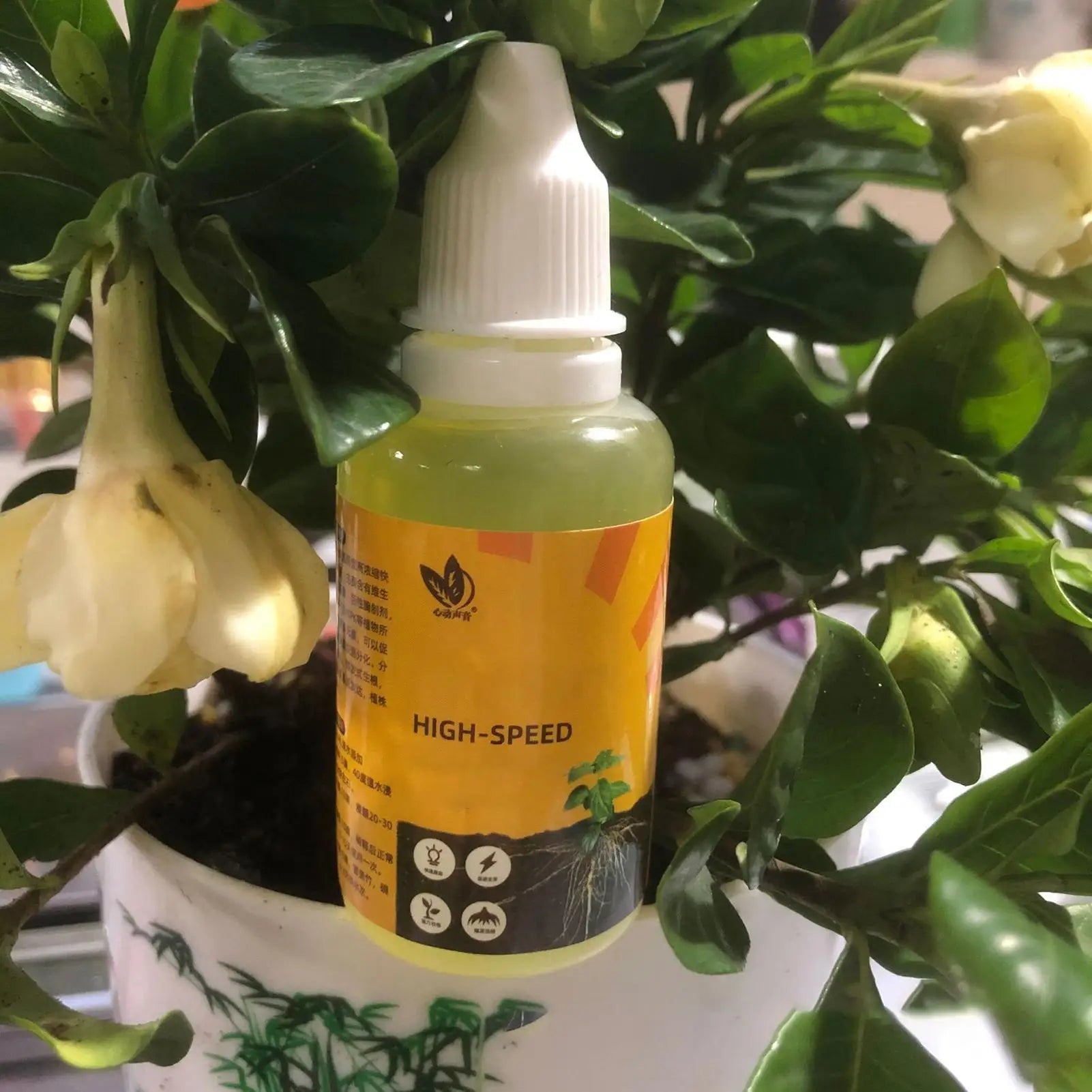 Plant Rooting Stimulator Liquid Root Booster Rapid Agent Fertilizer Zpaxo