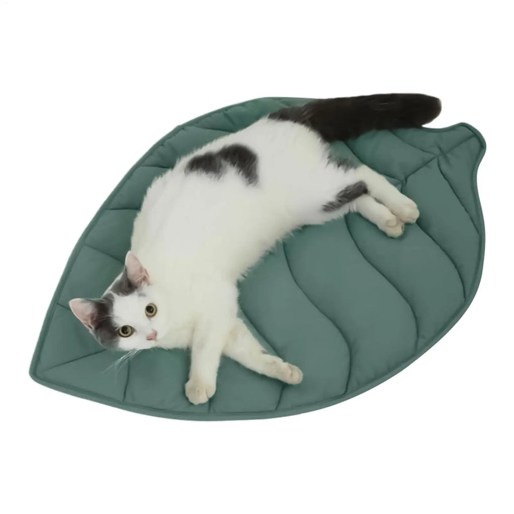 Cat Bed Mats Soft Cotton Shaped Kitten Puppy Dog Mat Sleep Blanket