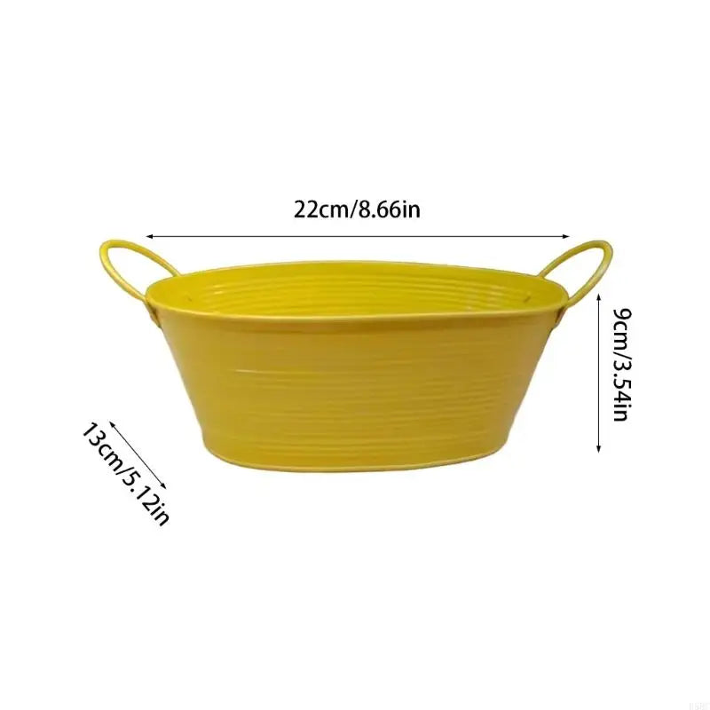 Oval Iron Planter Container Tabletop Garden Balcony Party Decoration