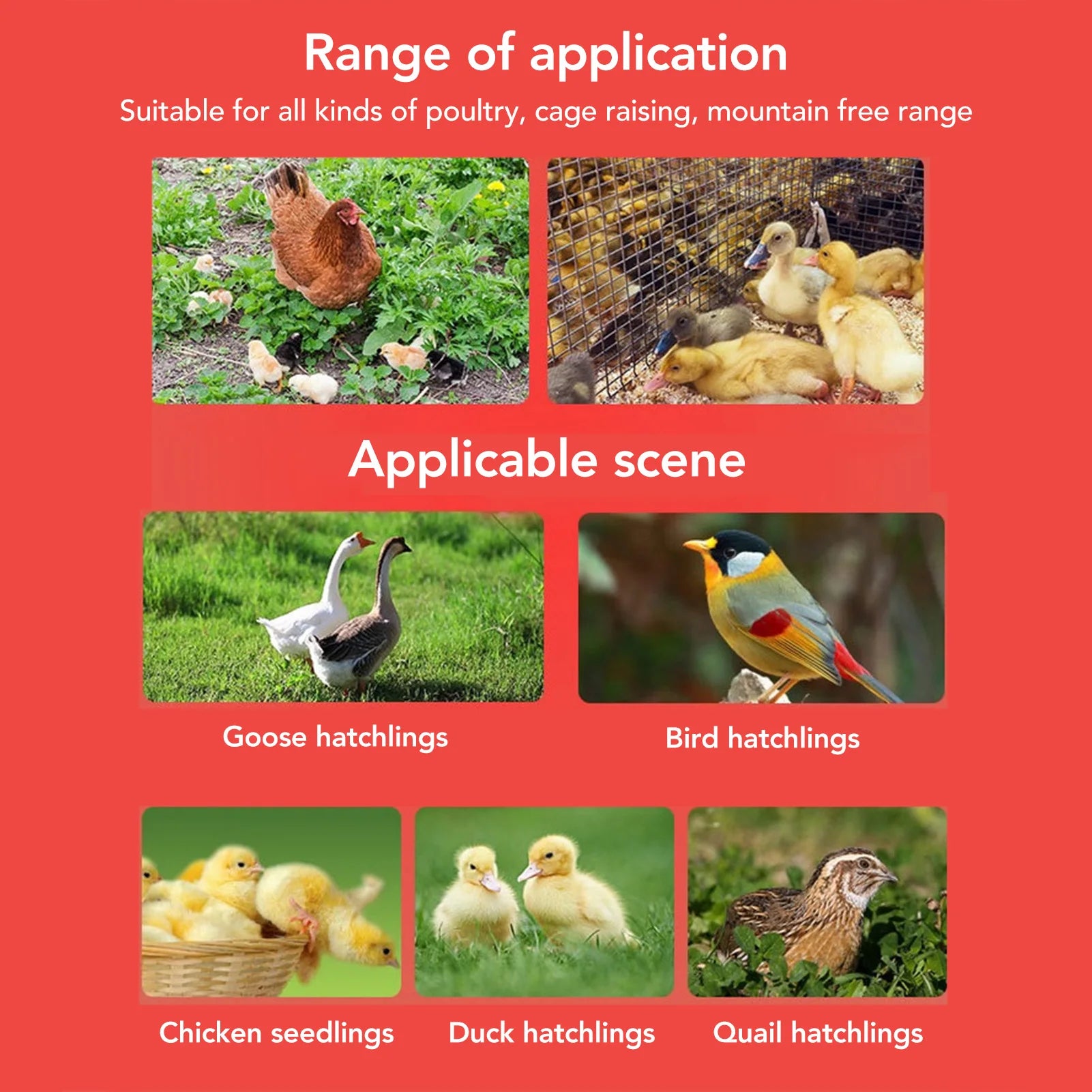 Chick Feeder Easy To Clean Rotary Sleeve Design Automatic Feeding and Watering Chick Feeder and Waterer Kit for Chicks Zpaxo
