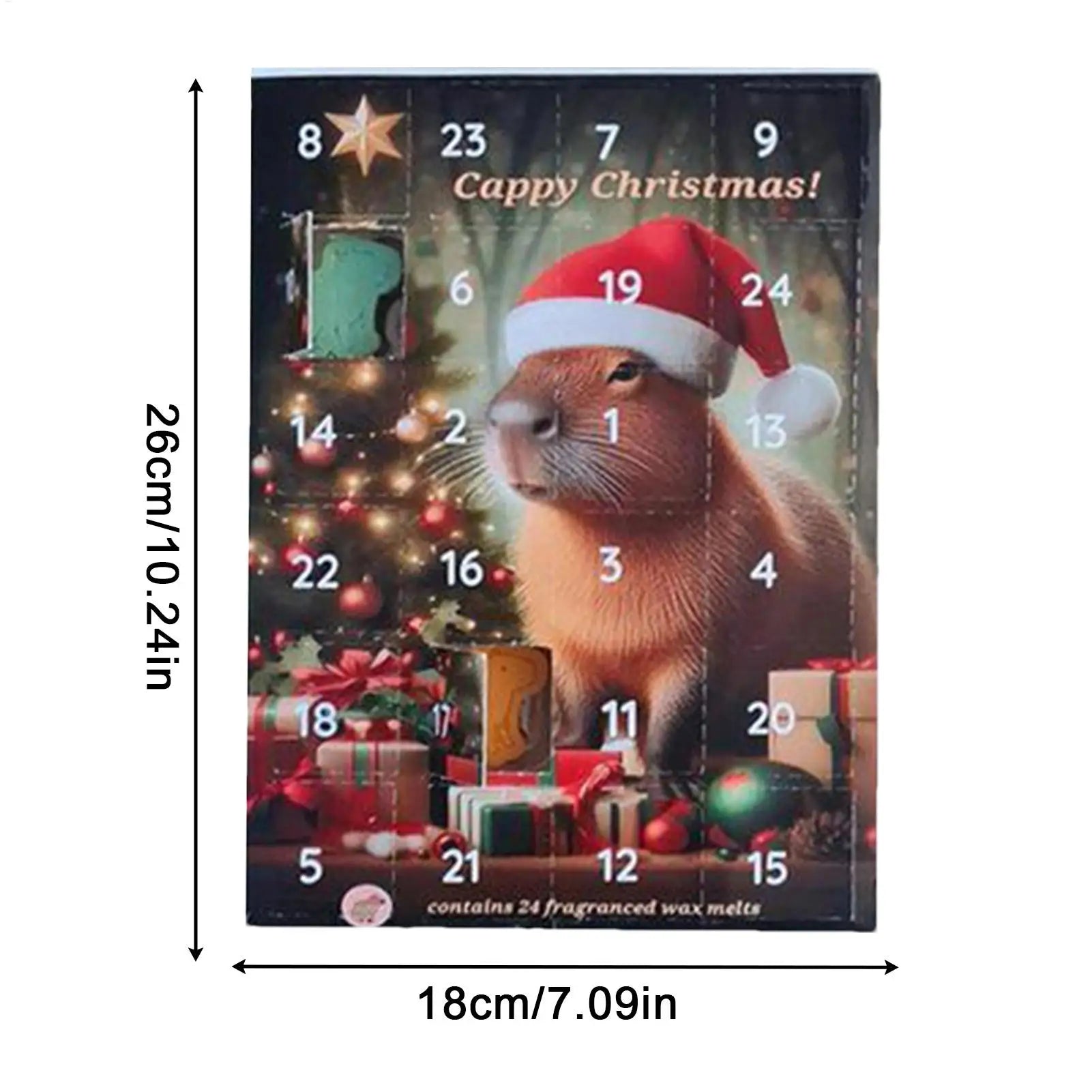 2025 Capybara Advent Calendar 24 Days Christmas Countdown Toy