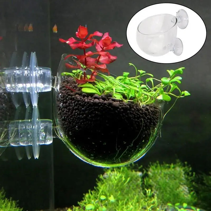 Acrylic Aquatic Plant Cup Suction Holder Aquarium Fish Tank Pot