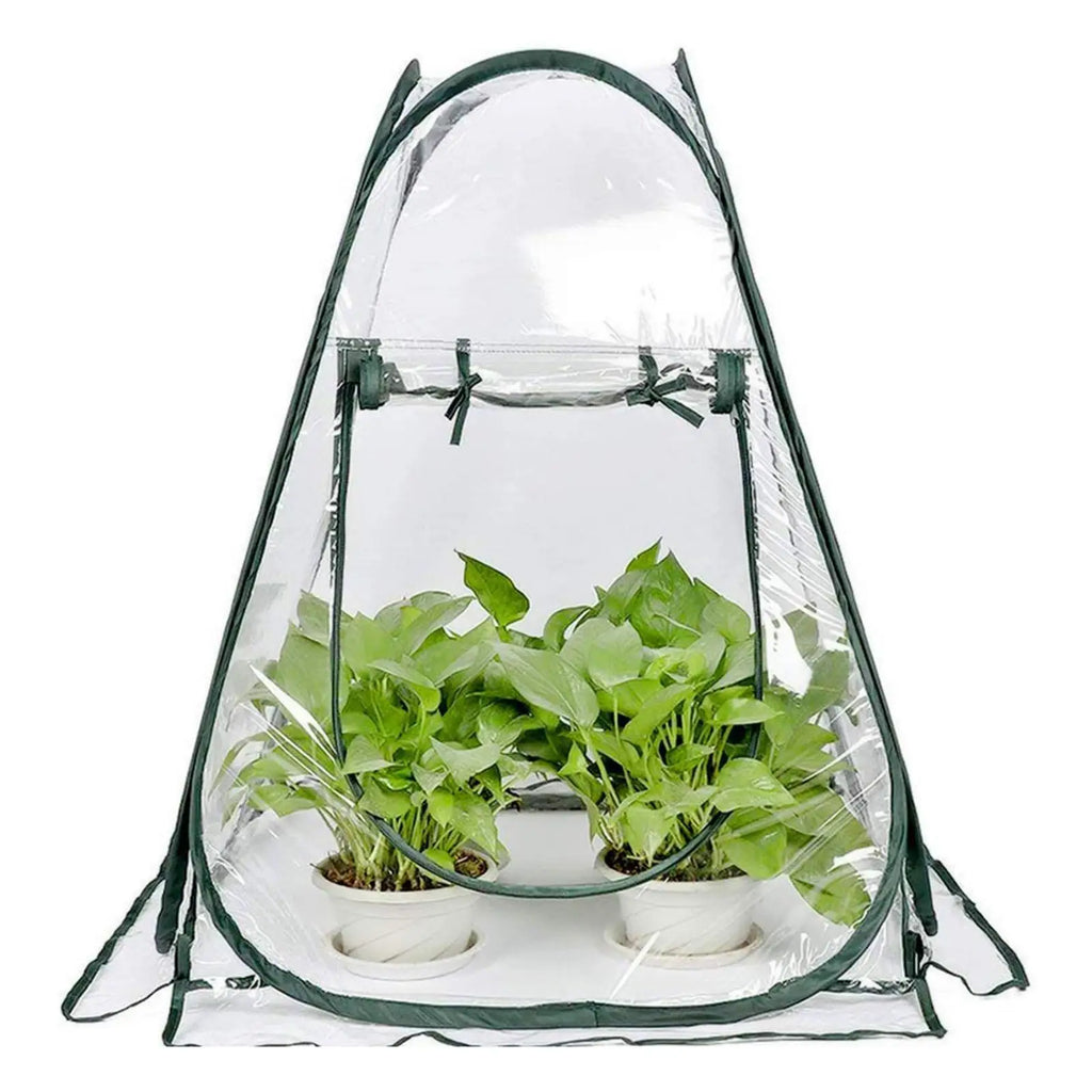 Chiwanji Portable Mini Popped Up Greenhouse Transparent Gardening Zpaxo