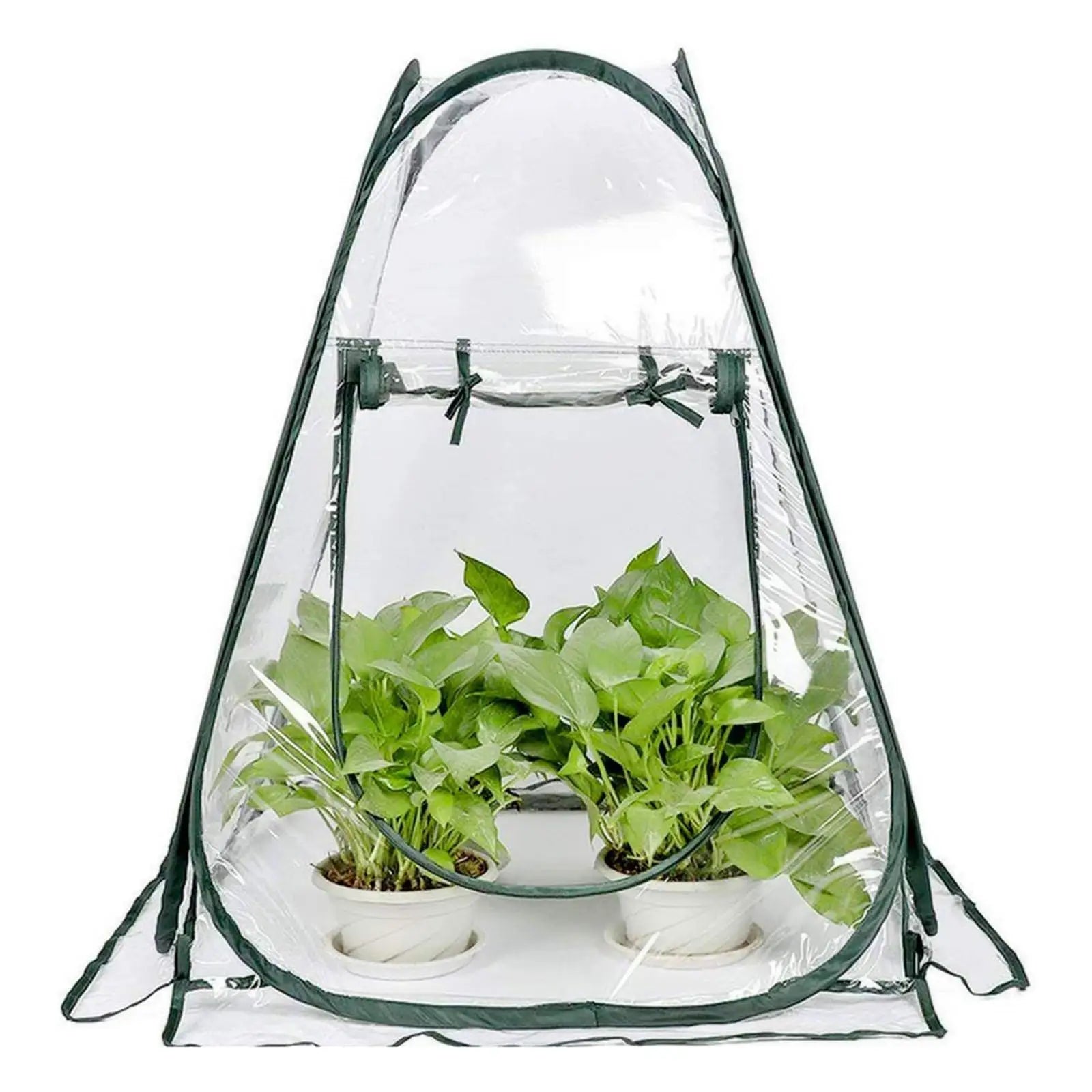 Chiwanji Portable Mini Popped Up Greenhouse Transparent Gardening Zpaxo