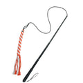 Retractable Dog Trainer Interactive Outside Chew Stick Pet Training