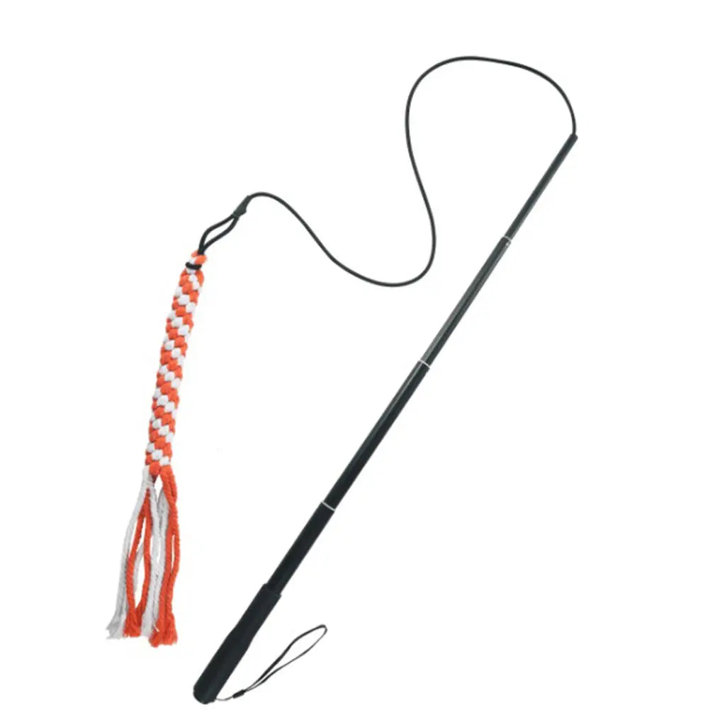 Retractable Dog Trainer Interactive Outside Chew Stick Pet Training