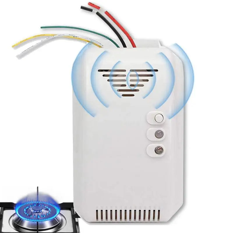 12V Gas Detector Sensor Alarm Propane Butan E LPG Natural Motor LN G