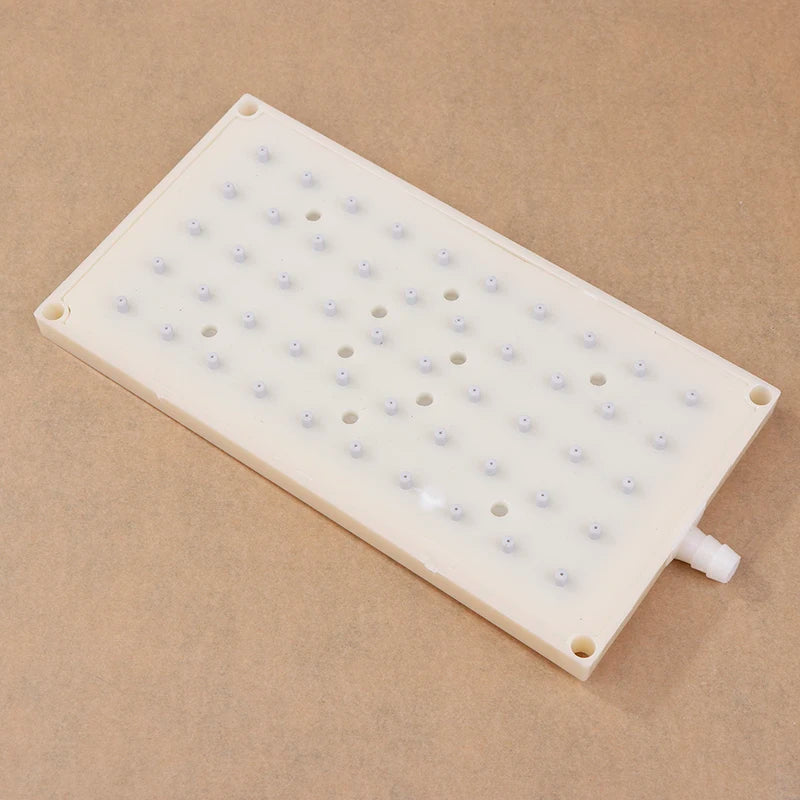 Premium 22X10 ABS Shower Head Intubation Interface 5 10 Hole Spray Zpaxo