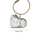 Cat Hair Storage Bottle Clear Mini Keepsake Container Pet Organizer