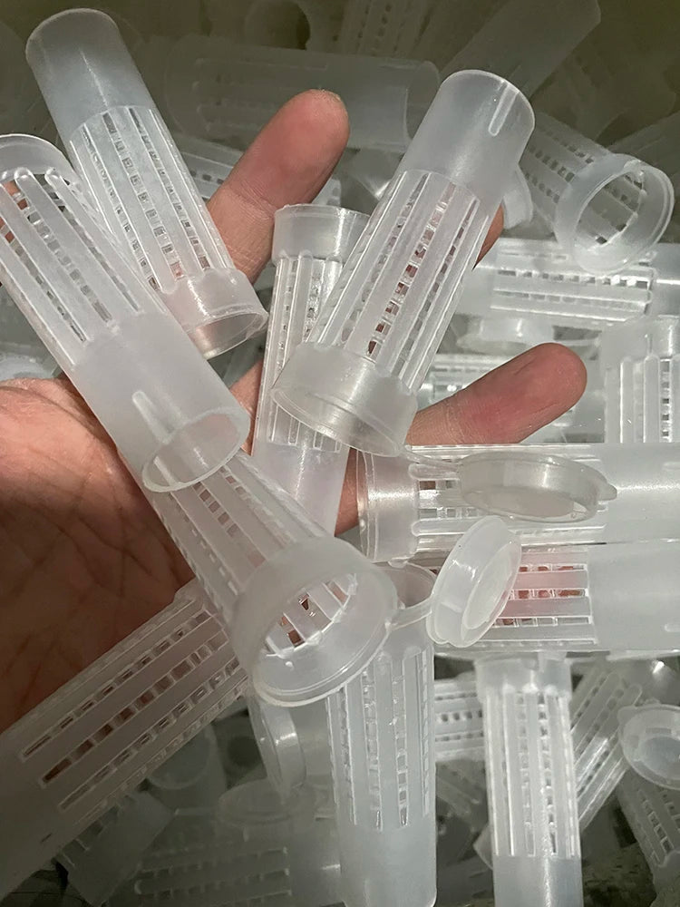 100 Bees Tools Cages King Queen Rearing Cupkit Only White