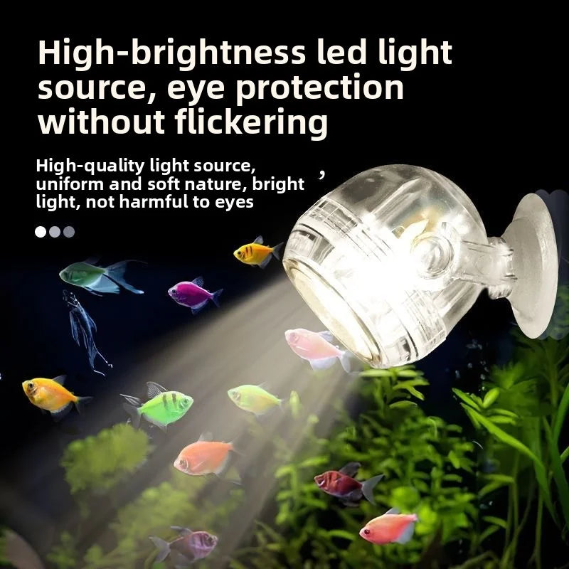 Color-Changing LED Aquarium Spotlight | USB Waterproof Fish Tank Light
