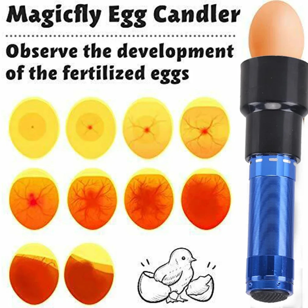 9 LED Egg Candler Flashlight – Ultra Bright Poultry Candling Lamp Egg Candler Flashlight Zpaxo