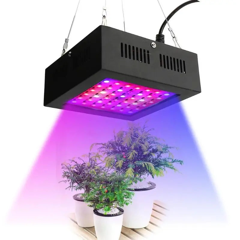 80W LED Grow Light 42leds IP66 Indoor Hydroponic System Fruits Lamp Zpaxo black US