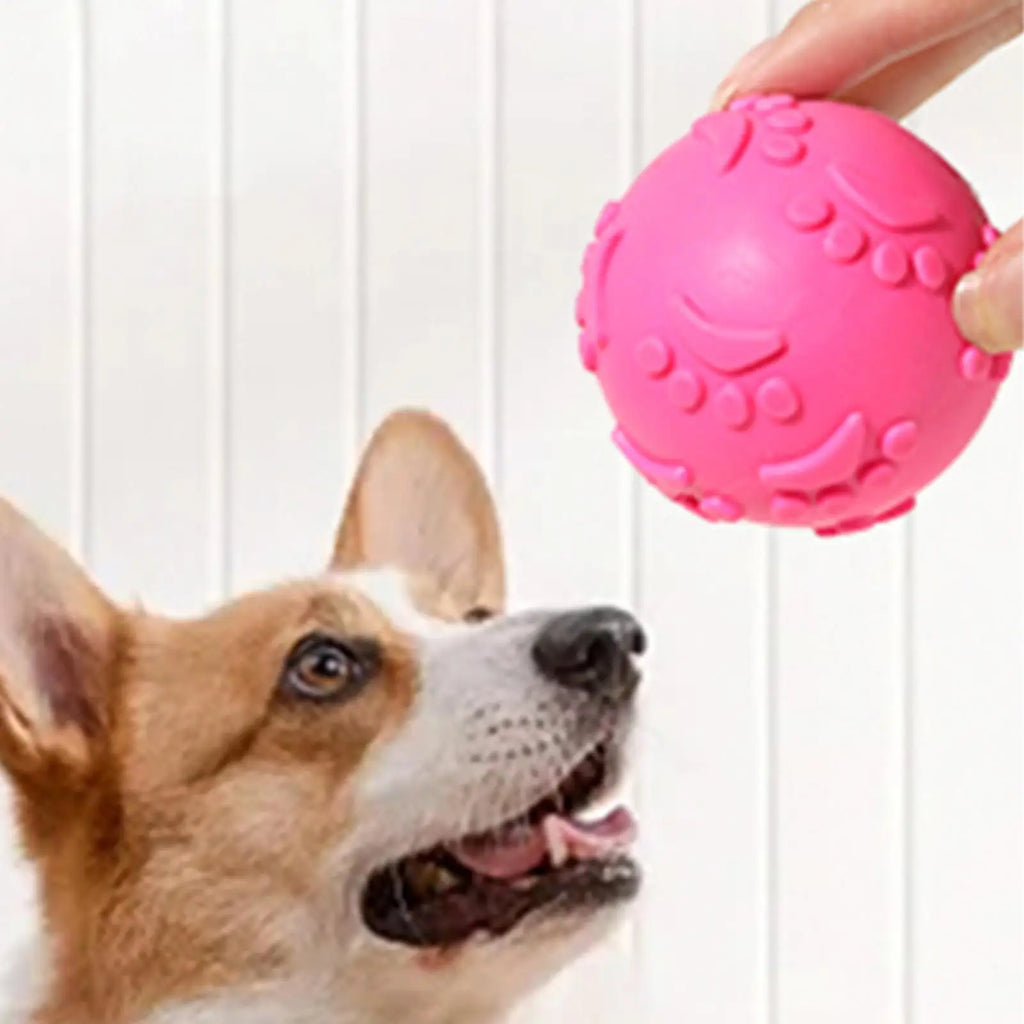 Indestructible Squeaky Dog Balls Latex Toy Ball Teething Chewing
