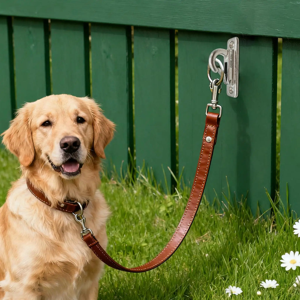Dog Leashes Holder Heavy Duty Stainless Steel Wall Mount Hook Pet