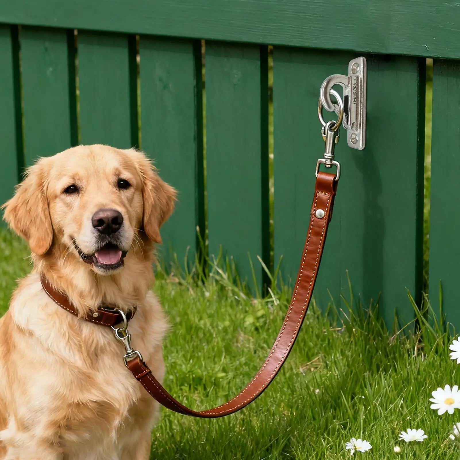 Dog Leashes Holder Heavy Duty Stainless Steel Wall Mount Hook Pet