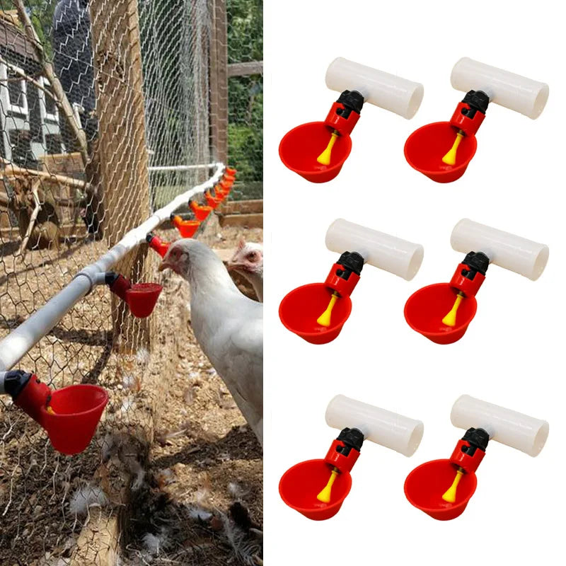 Automatic Chicken Quail Drinker Bowl Bird Water Cups Straight Pipe