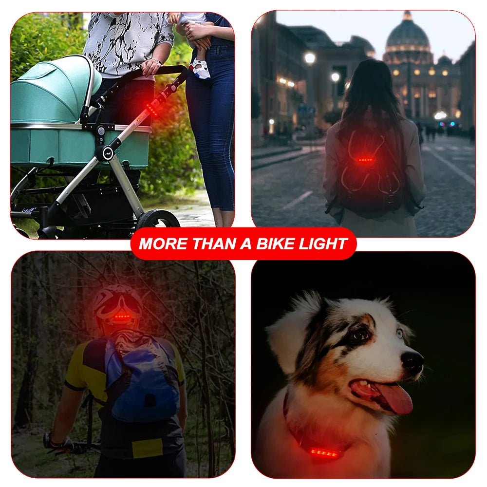 USB Rechargeable LED Bike Tail Light – IPX4, 4 Modes | Zpaxo