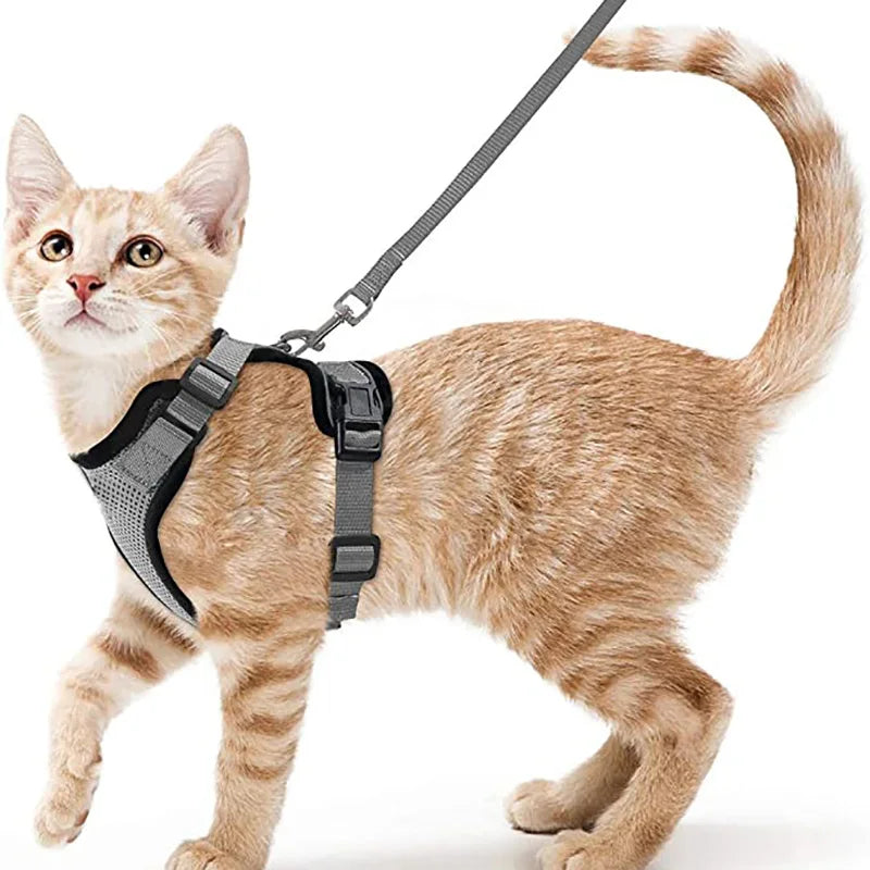 Summer Cat Dog Harness Lead Leash Adjustable Vest Polyester Mesh Breathable Harnesses Reflective for Small Dog Cat Lesah Zpaxo GRAY XS