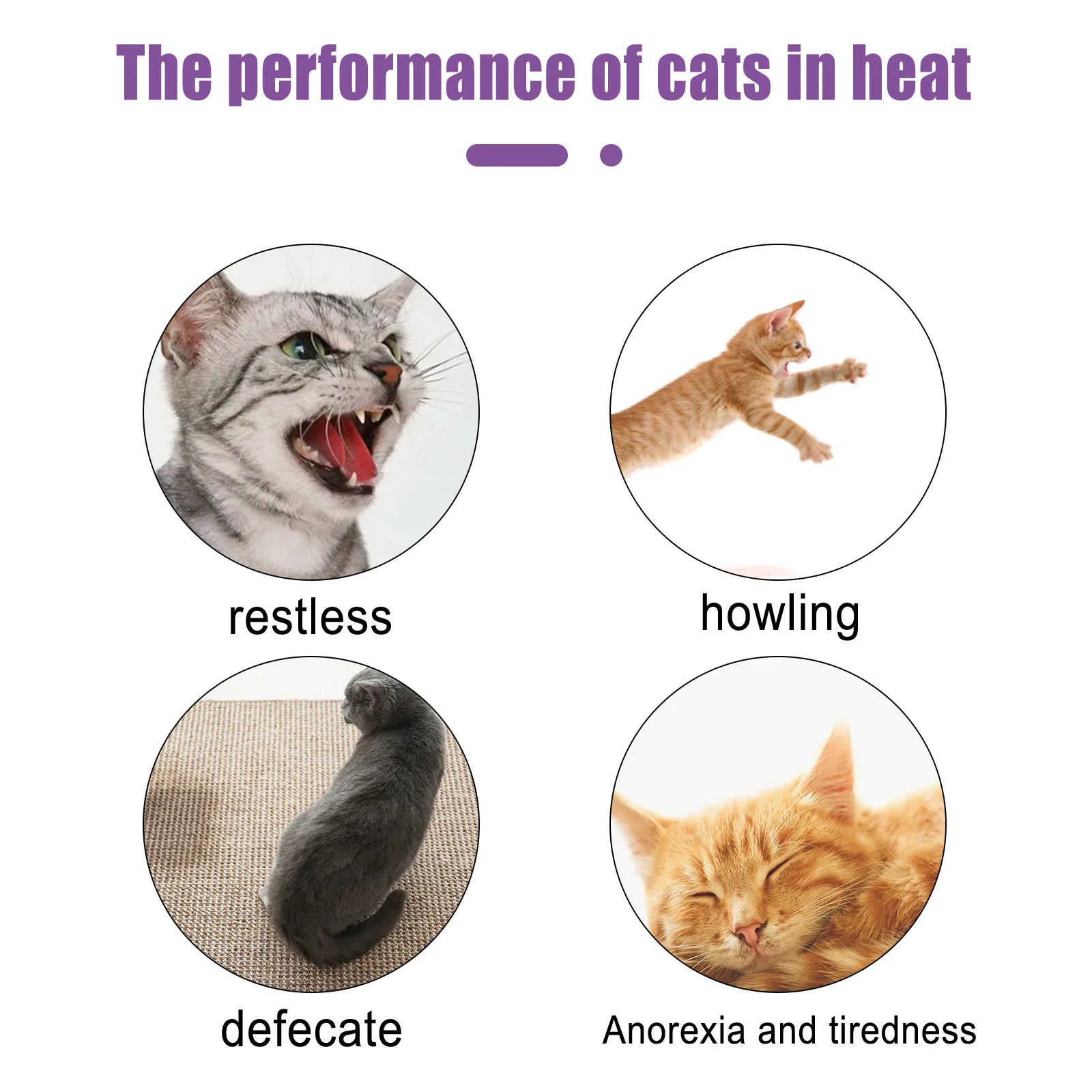 Pet Calming Pheromone Spray – Anxiety & Estrus Relief for Cats & Dogs Pet Calming Spray Zpaxo