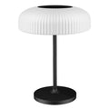 2026 New Solar Desk Lamp, 450lm Emergency Lighting, Courtyard Lamp, Floor Lamp Used for Courtyards and Bedrooms, Lightweight Zpaxo SOLAR DESK LAMP 31CM China Mainland|USB Type-C