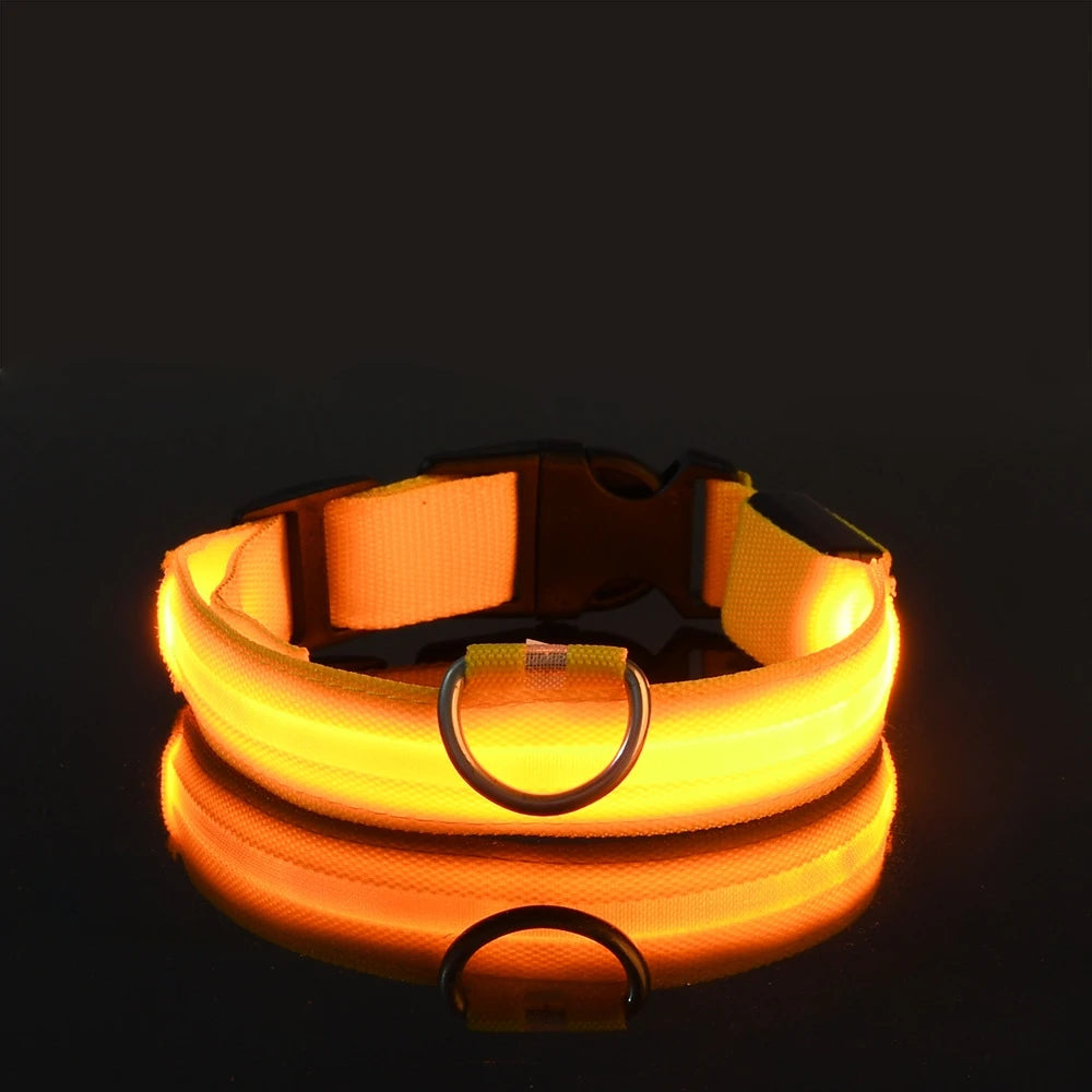 Nylon LED Night Safety Flashing Glow In The Dark Dog Leash Dogs Luminous Fluorescent Pet Dog Collar Zpaxo YELLOW XL