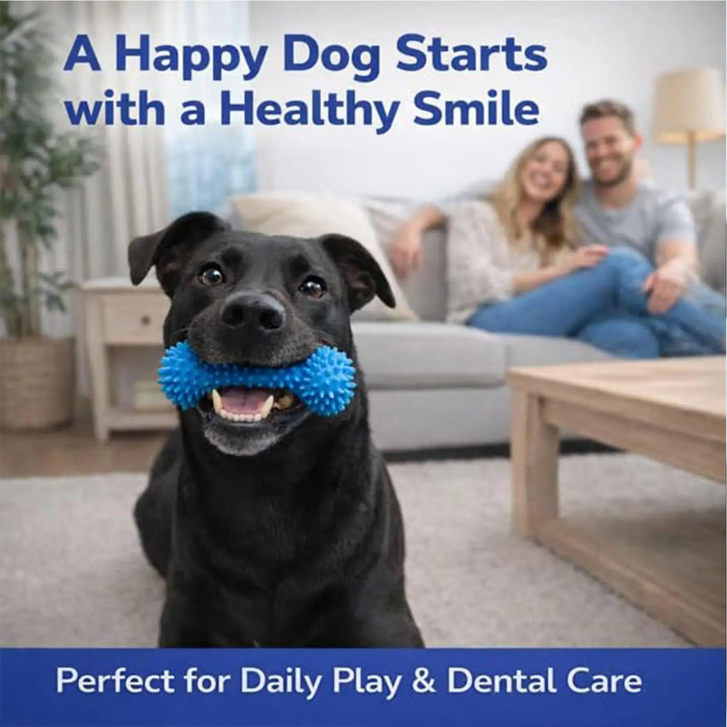 Puppy Teething Toys Double-action Training Chewer Sticks Pet Supplies