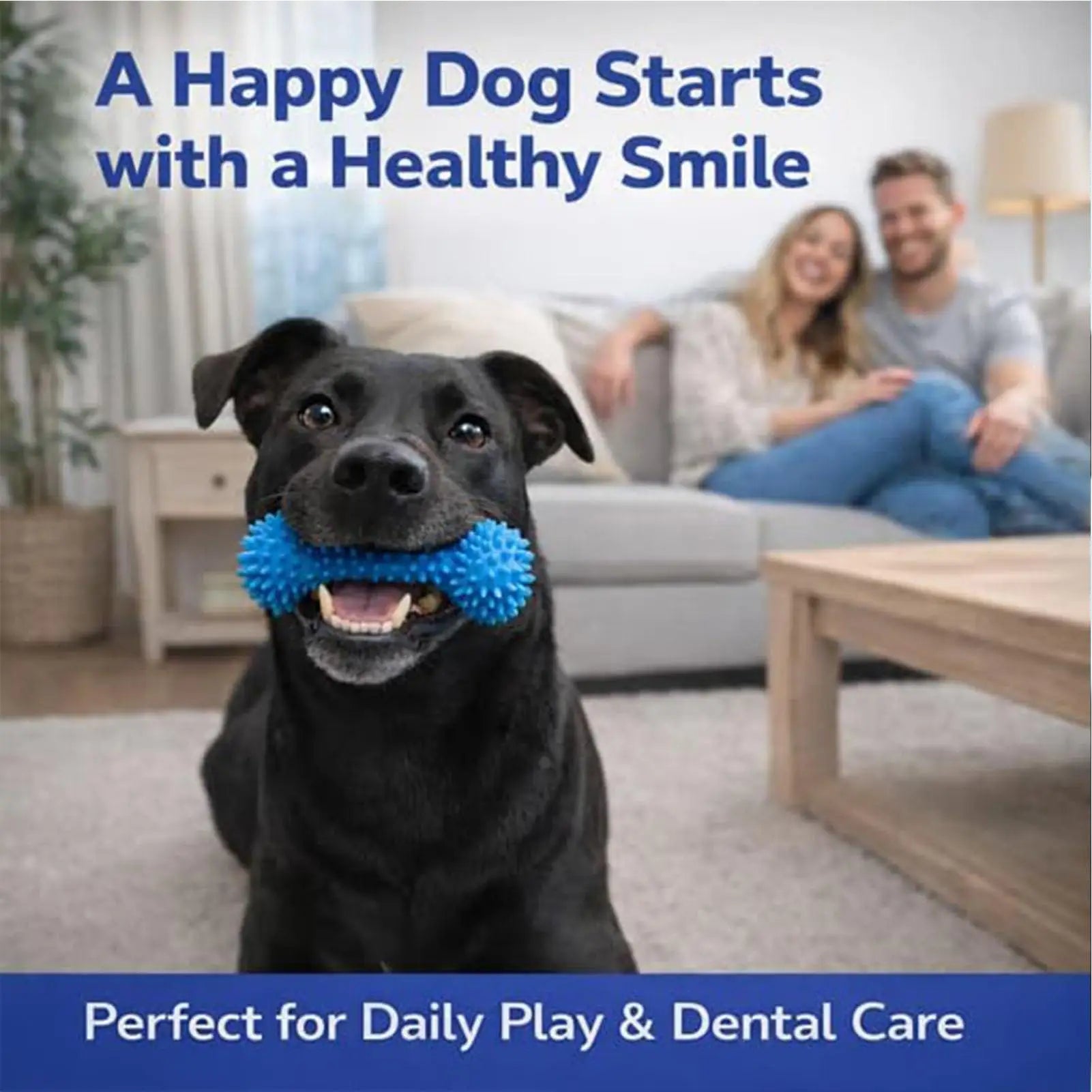 Puppy Teething Toys Double-action Training Chewer Sticks Pet Supplies